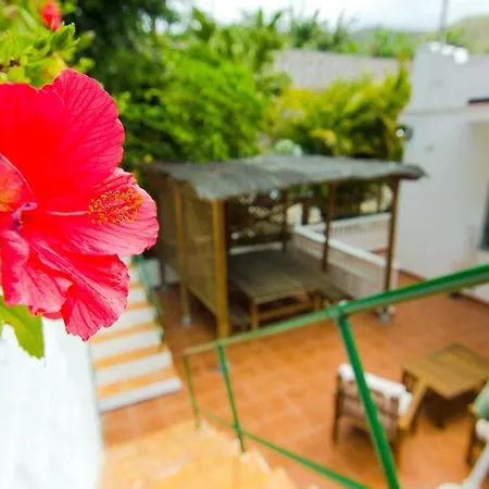 Live Tamaimo Finca La Caldera Hébergement de vacances *